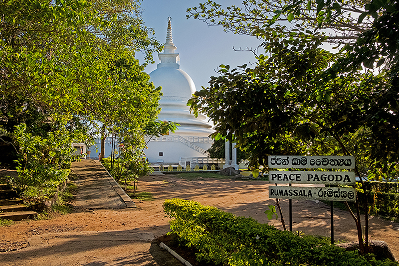 Шри-Ланка, июнь 2017. Японская пагода мира